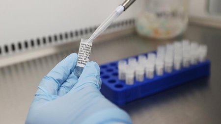 АНУ-д короновирусын эсрэг вакцинийн туршиж эхэллээ