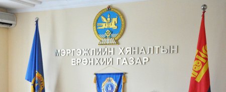 Мэргэжлийн хяналтын байгууллагын үйл ажиллагаа хэвийн үргэлжилж байна