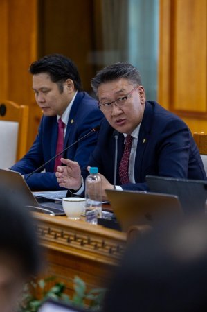Татварын өртэй татвар төлөгчдийн дансыг бүхэлд нь хаадаг зохицуулалтыг хална