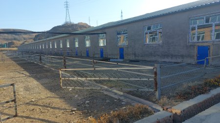 Ухаалаг фирм байгуулахад Хятадын засгийн газраас 2 сая юанийн хөрөнгө оруулалт хийжээ